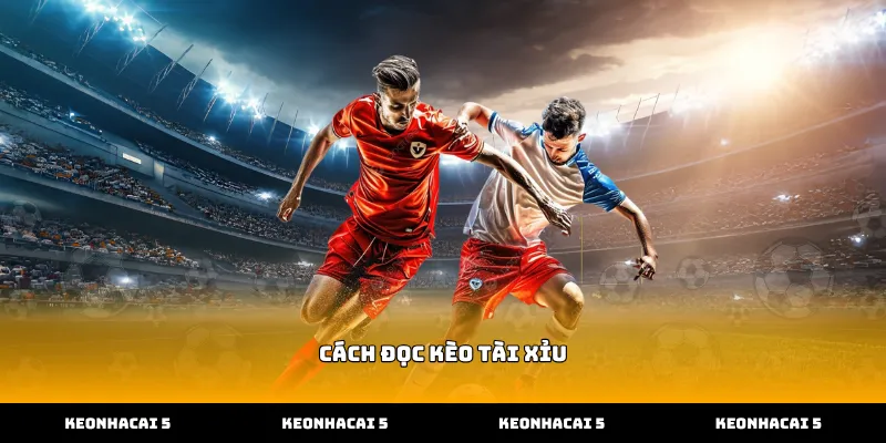 Hướng dẫn cách đọc kèo tài xỉu chuẩn xác cho người mới